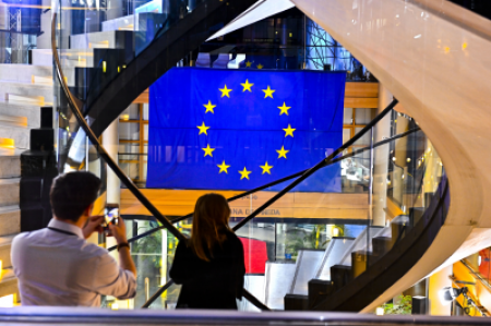 Europos kultūros fondo parama