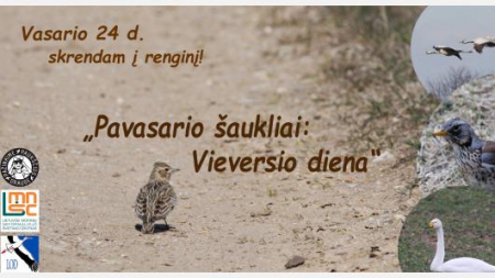 Dalyvaukite edukaciniame renginyje „Pavasario šaukliai: Vieversio diena“